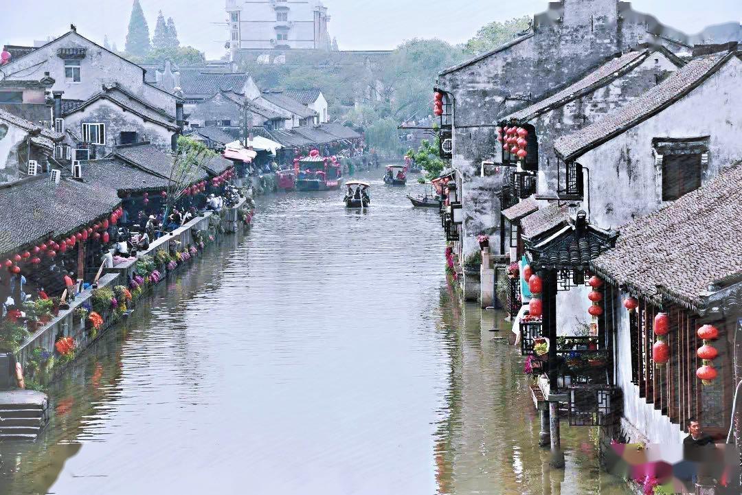 逃离神秘老林